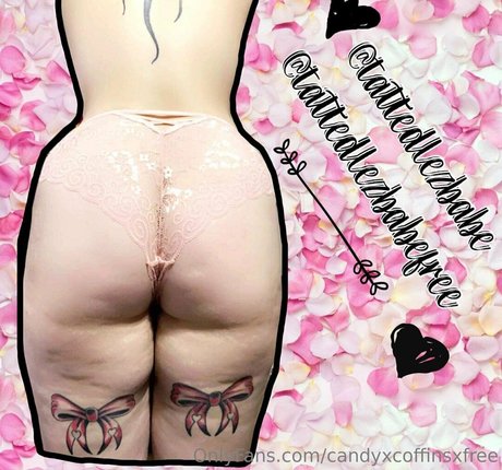 candyxcoffinsxfree pornstar adult archive