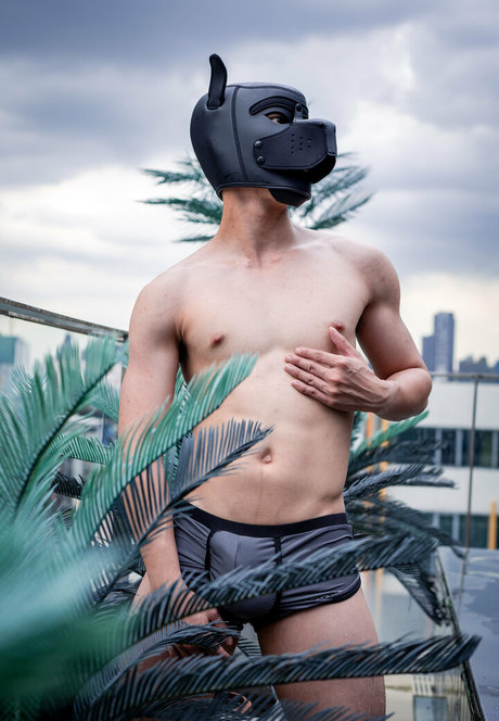 th cellox nice actress photo