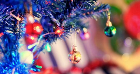 th cellox adult model img