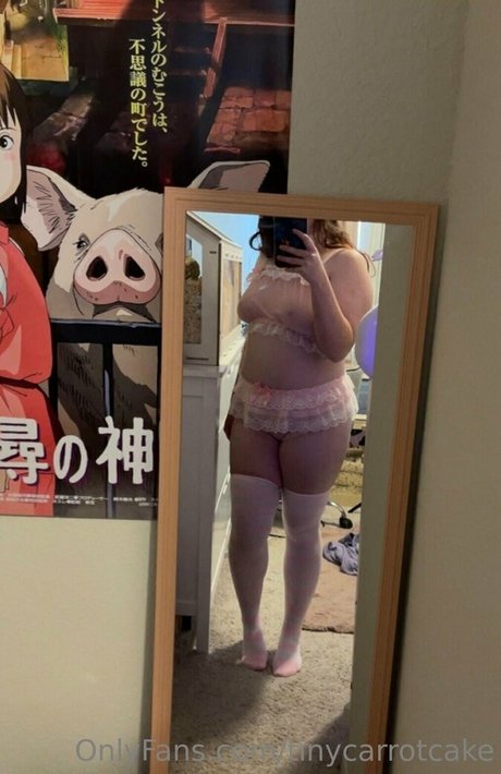 tinycarrotcake model picture