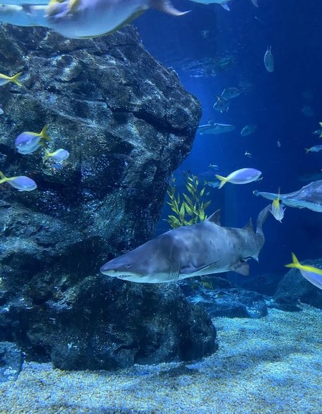 onyour bunny model nude pictures