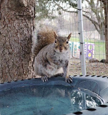 mikaylarainesfans pornstar pretty photo