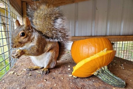 mikaylarainesfans hd pornstar galleries