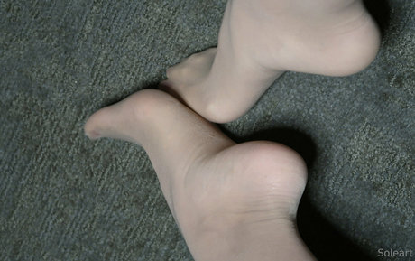 soleart star beautiful gallery