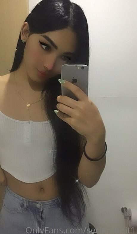 serjarabbit1 star erotic picture