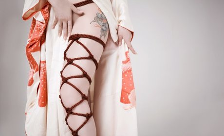 Senedy star perfect archive