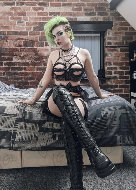 fzzgf star high quality img