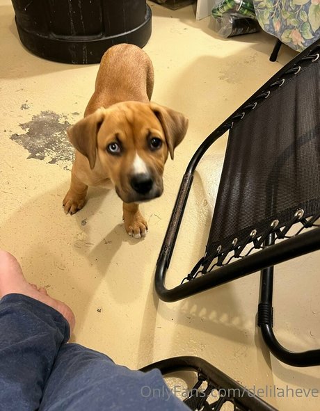 delilaheve model high quality picture