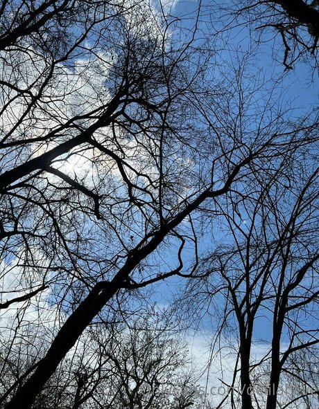 delilaheve star porn photos