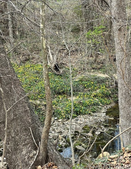 delilaheve model top archive