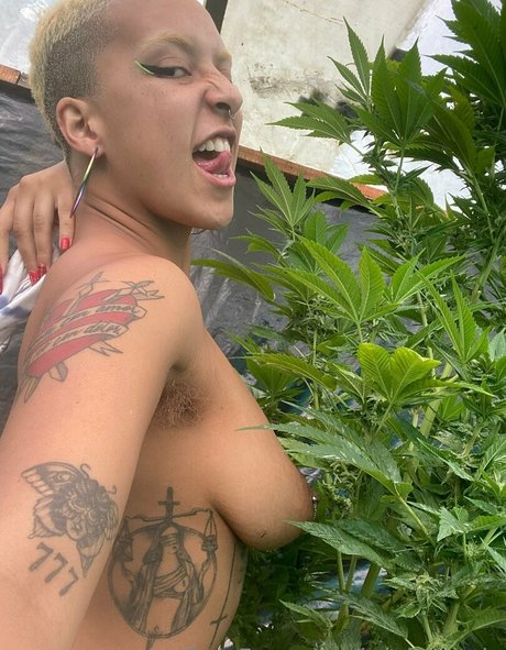 katdemonia pornstar free picture