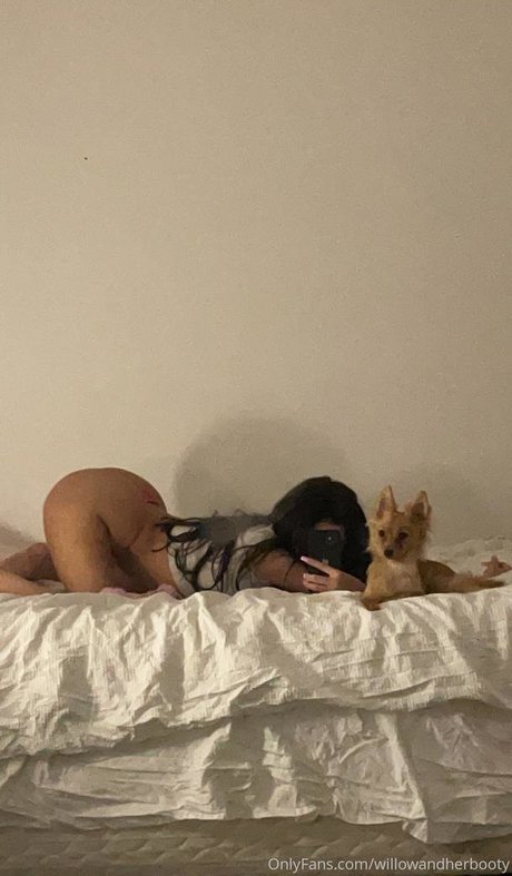 willowandherbooty star sex gallery