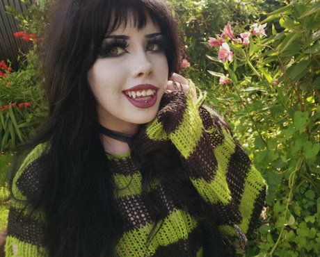 morguecat model archive