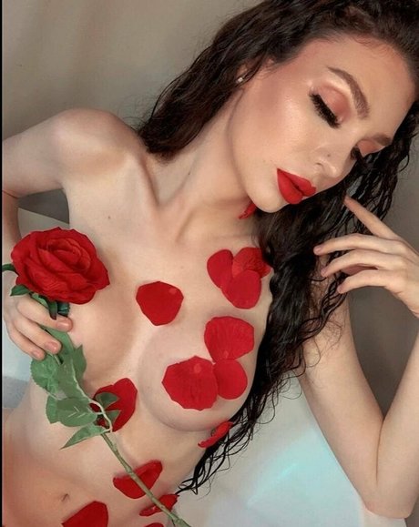 iamsophidream star art galleries