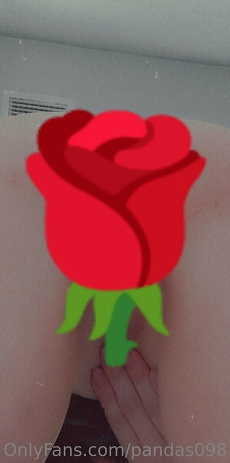 pandas098 hot star images