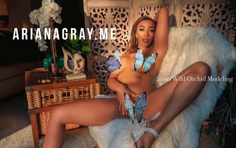 arianagrayfree perfect star images