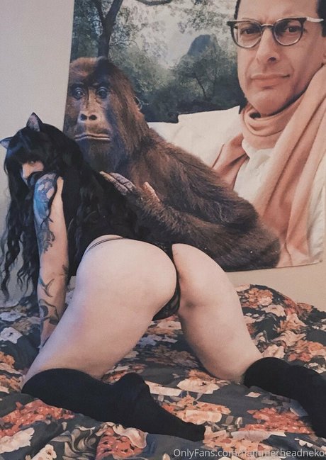 hammerheadneko model pornographic pic