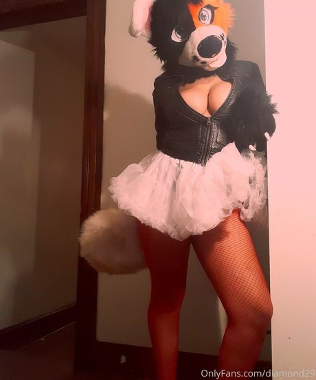 ddlove9 best model pictures