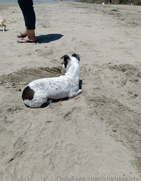 sneakykirby sex star picture