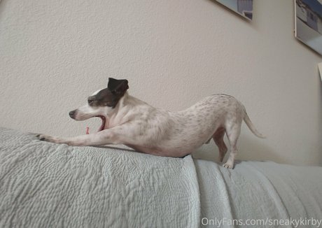 sneakykirby naked actress image