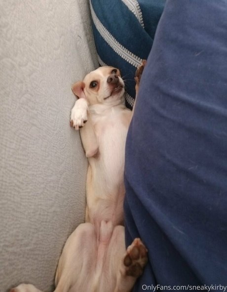 sneakykirby top actress pictures