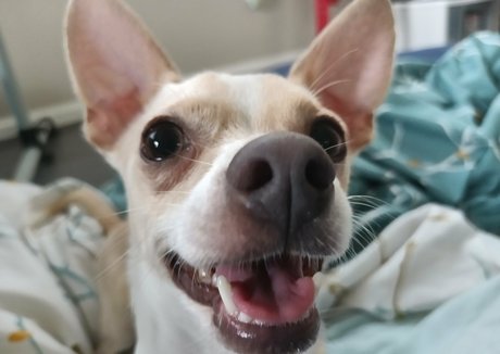 sneakykirby hot model image