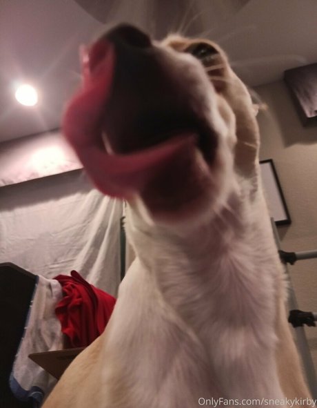 sneakykirby top star images