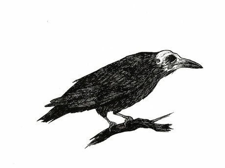 Silverspawn best pornstar galleries