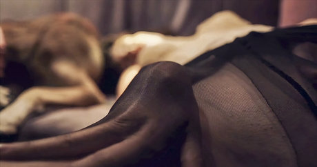 Eylul Su Cuha pornstar adult pics