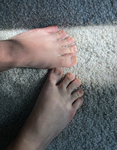 seeceeceefreebie pornstar galleries