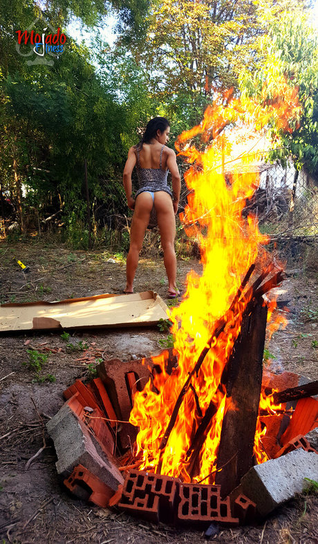 miracuckold best star archive