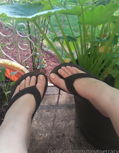 tinytoetracy xxx actress image