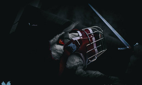 sergnderg best star images