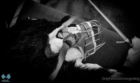 sergnderg perfect star image