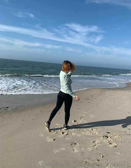 alineraspberry star top images