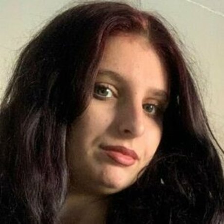 Jas ontop model perfect galleries