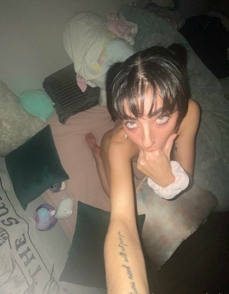 Kaylee McCarthy xxx actress archive