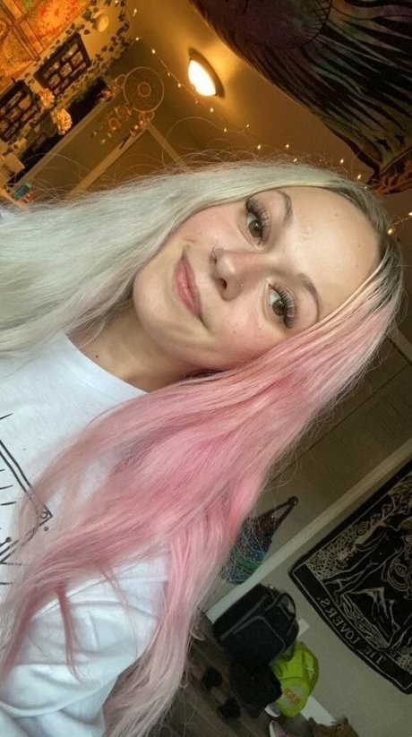 Nova Luxe beautiful star gallery