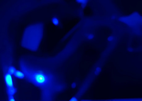 naoof erotic actress picture