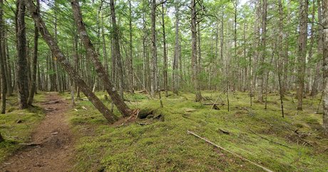 emberblazexxx pornographic star pictures