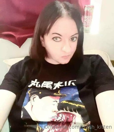 trash kitten perfect star photos