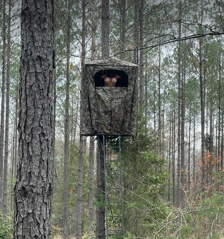 kimberleysadventures model pornographic pictures