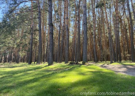 tobinedamfree pornstar pretty archive