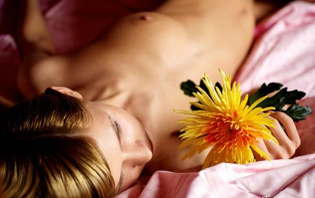 Paloma B xxx star picture