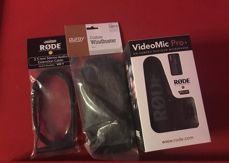 sashastrokes nice actress image