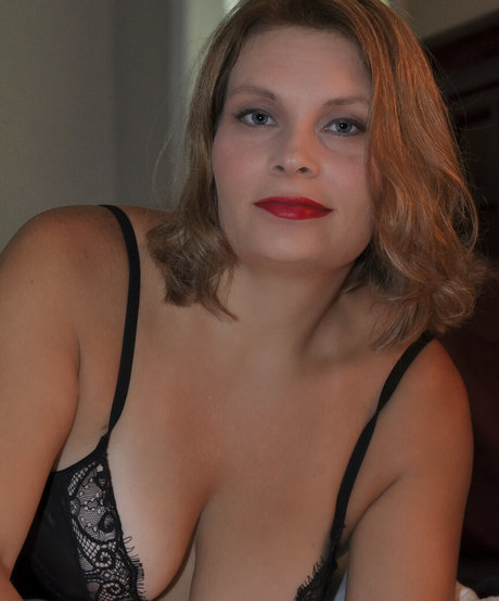 Bear Flickr hd star images