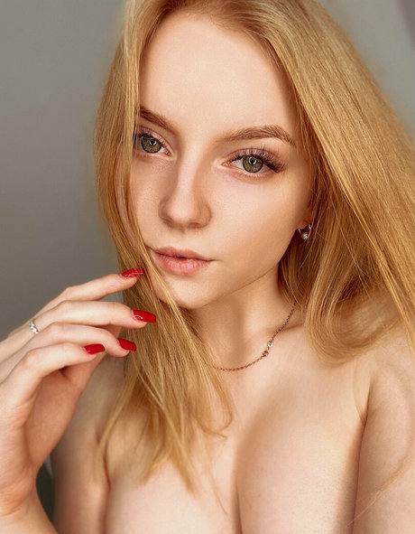 zachec star nice galleries