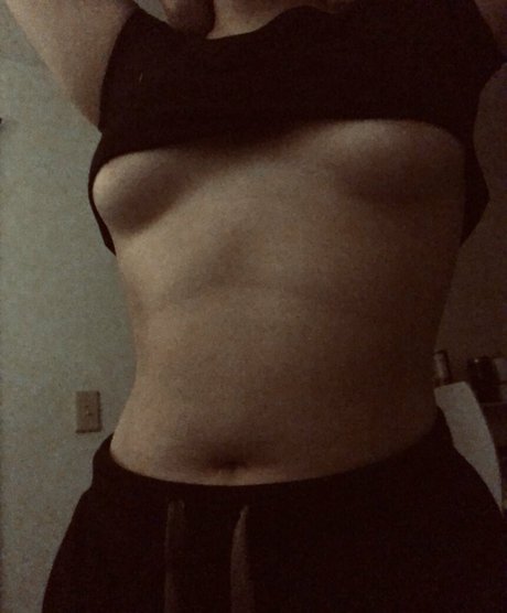 peachyknn model gallery