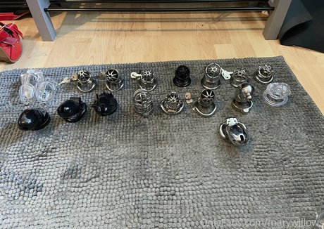 marywillows beautiful model img