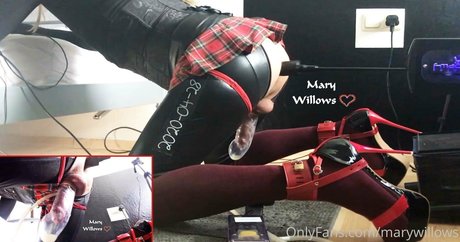 marywillows Profile pic